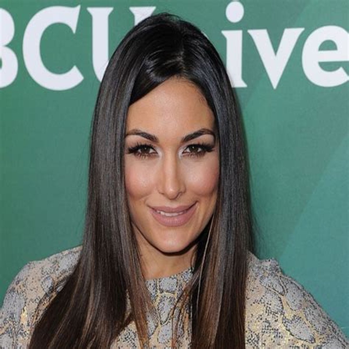 Brie Bella Net Worth | Celebrity Net Worth