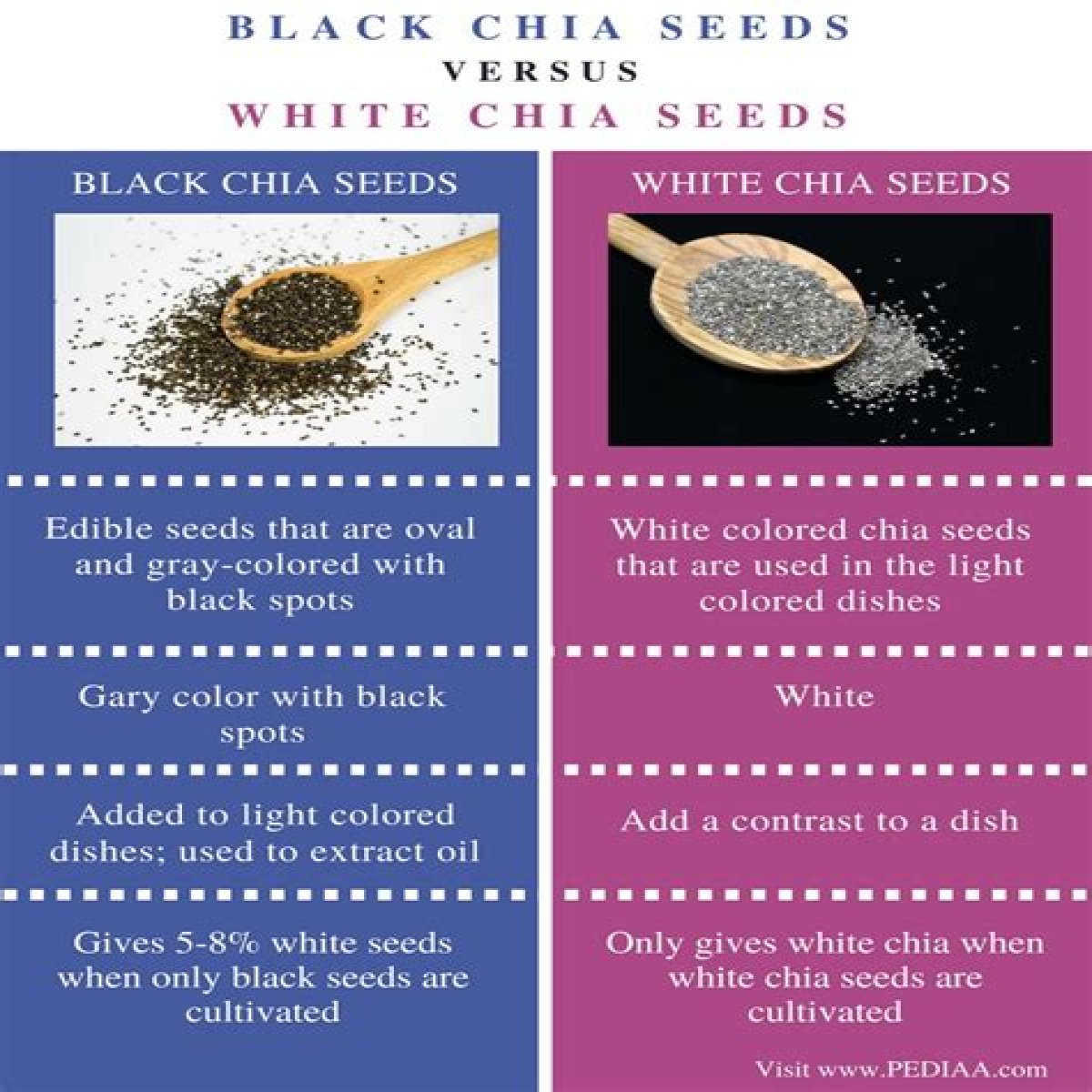 Difference Between Black And White Chia Seeds