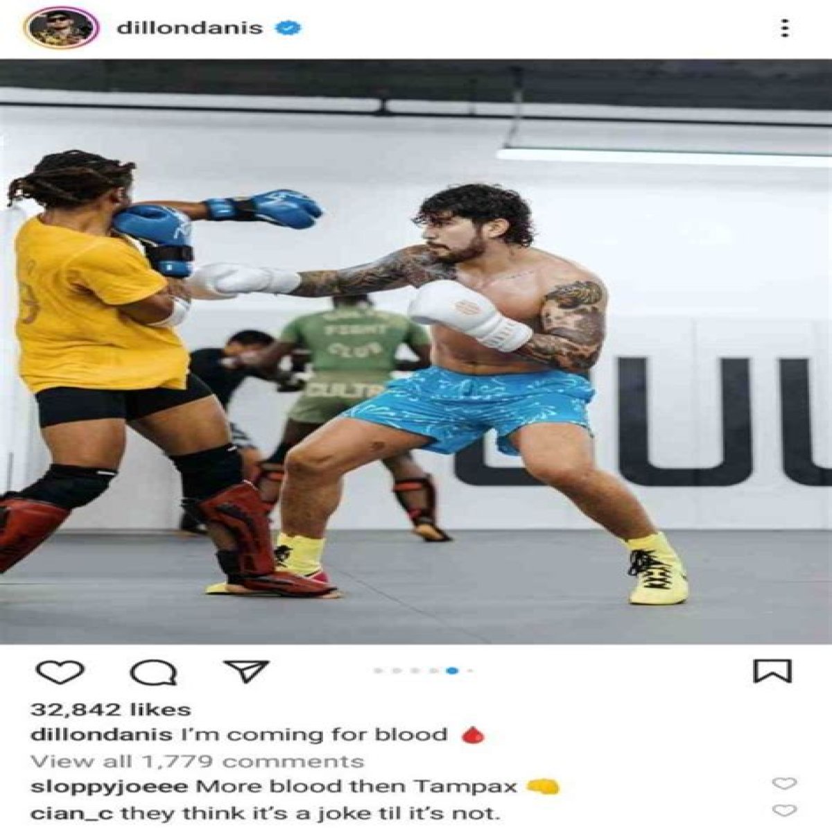 Dillon Danis Height, Weight, Net Worth, Age, Birthday, Wikipedia, Who, Nationality, Biography