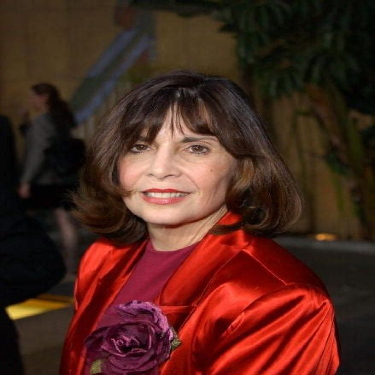 
How Much Money Does Talia Shire Make? Latest Income Salary
