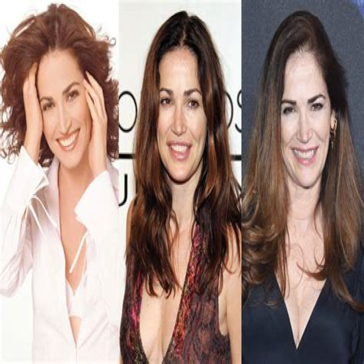 Kim Delaney Plastic Surgery Before and After