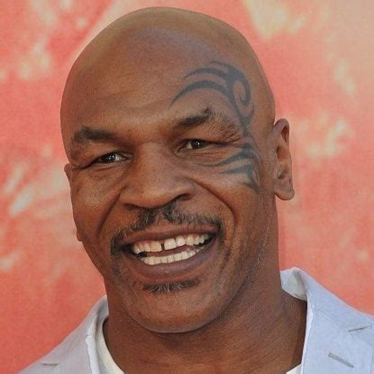 Mike Tyson Net Worth | Celebrity Net Worth