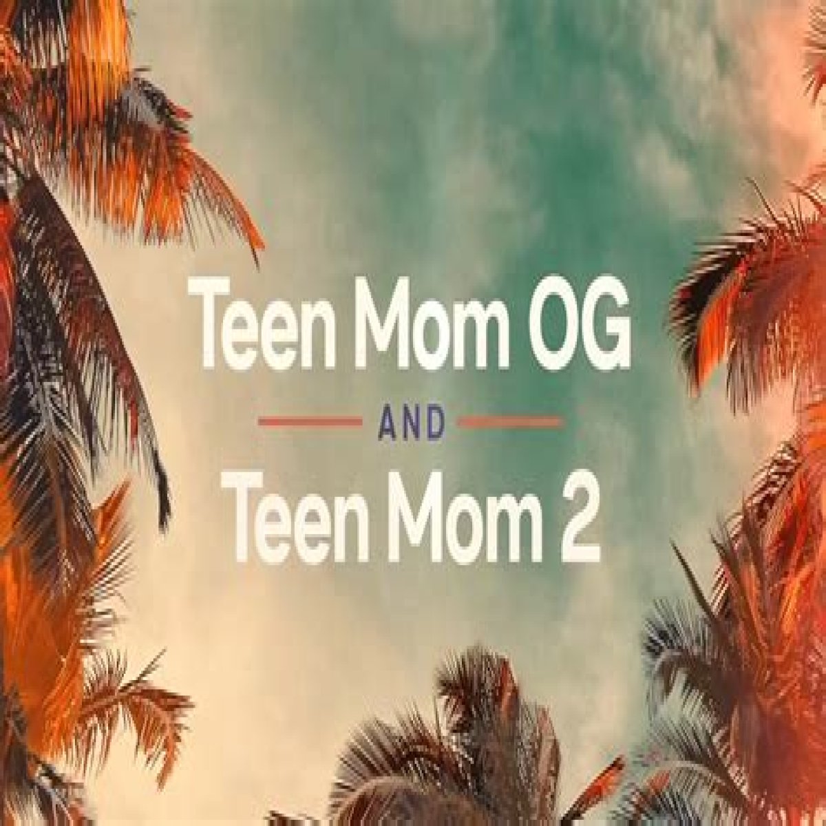 MTV Announces the New 'Teen Mom'!