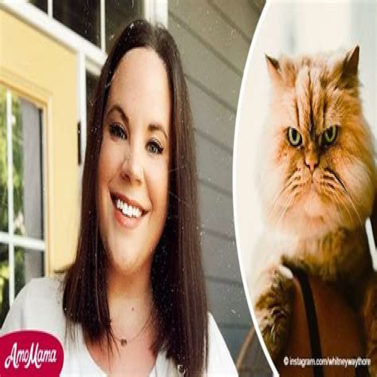 'My Big Fat Fabulous Life' Star Whitney Way Thore's Pets Including Beloved Cat Henchi — Meet Them