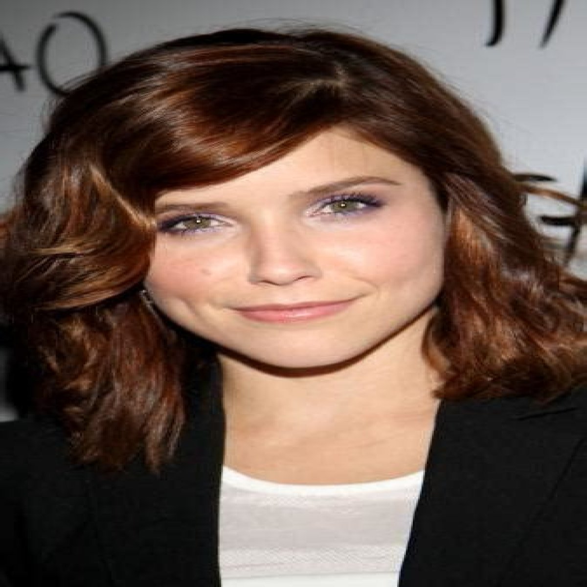 Sophia Bush Plastic Surgery Before and After
