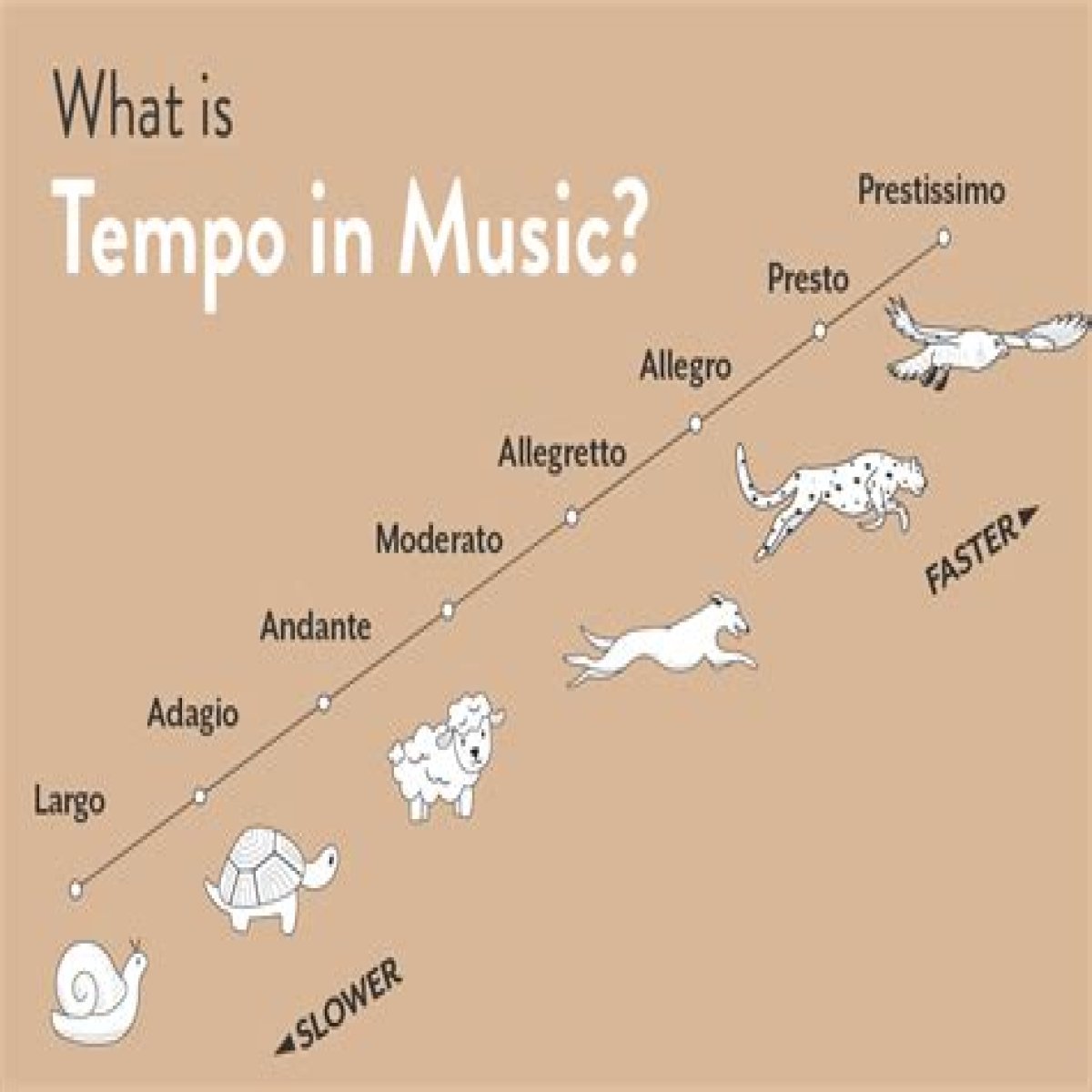 Speed of a piece of music