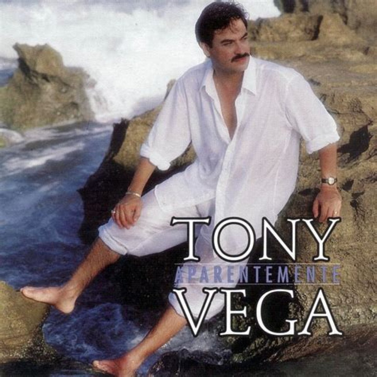 Tony Vega Aparentemente Lyrics English Translation