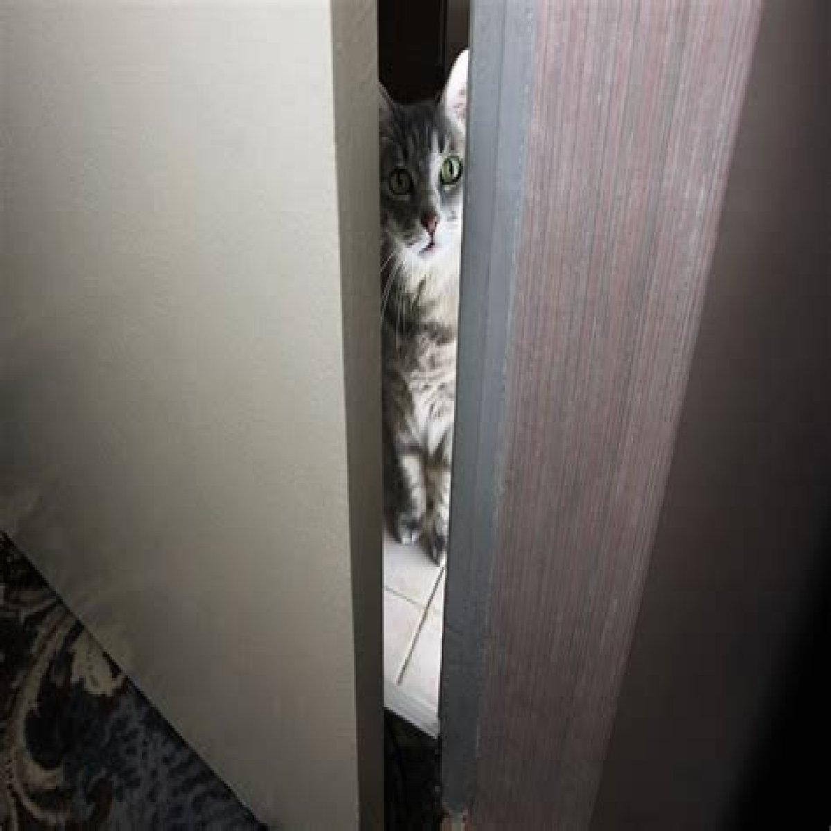 Ways in and out of a room