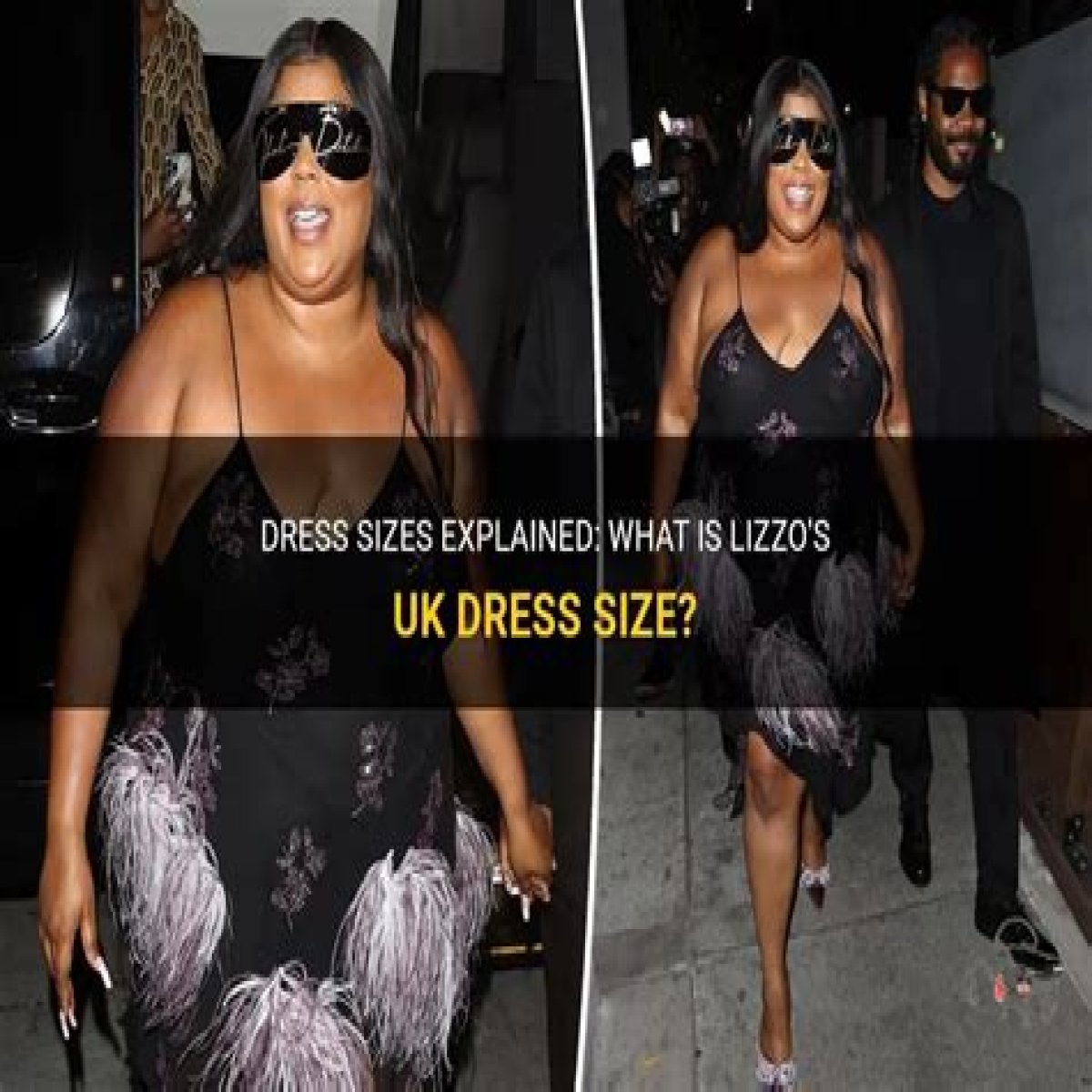 What Dress Size Is Lizzo?