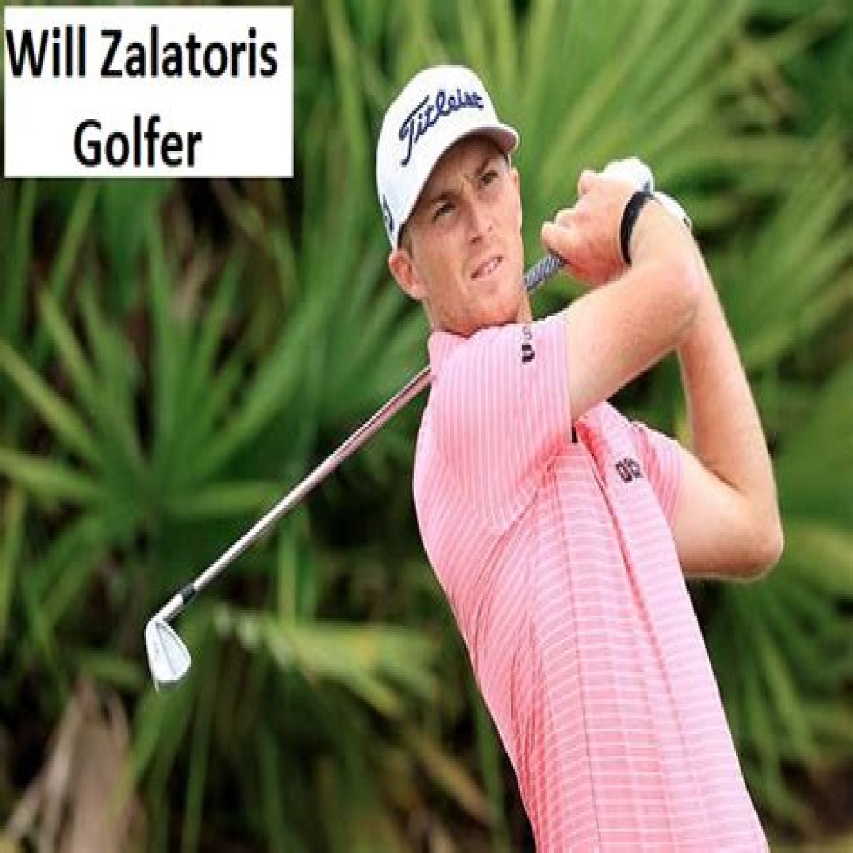 Will Zalatoris Golfer, Wife, Net Worth, Salary, And Family